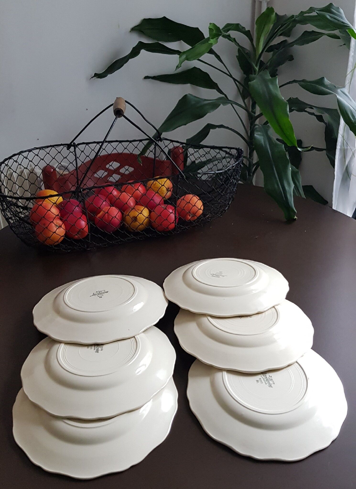 Set of 6 flat plates Digoin Sarreguemines