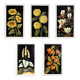 Set of five vintage flower still life paintings.