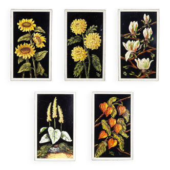 Set of five vintage flower still life paintings.