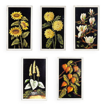 Set of five vintage flower still life paintings.