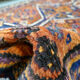 Corridor & orient carpet entirely handmade "Shiraz"