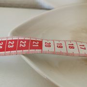 Plat de service , ravier Villeroy et boch forme de feuille