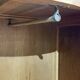 Wardrobe English art deco wardrobe in walnut magnifying glass