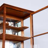 Restored Biedermeier Display Cabinet, Walnut, Polish, Spruce, Czech, 1830s