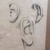 Old Charcoal Drawing Study Sketch Ear Mouth Face 1915 Signed
