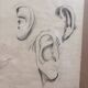 Ancien Dessin Fusain Etude Croquis Oreille Bouche Visage 1915 Signé