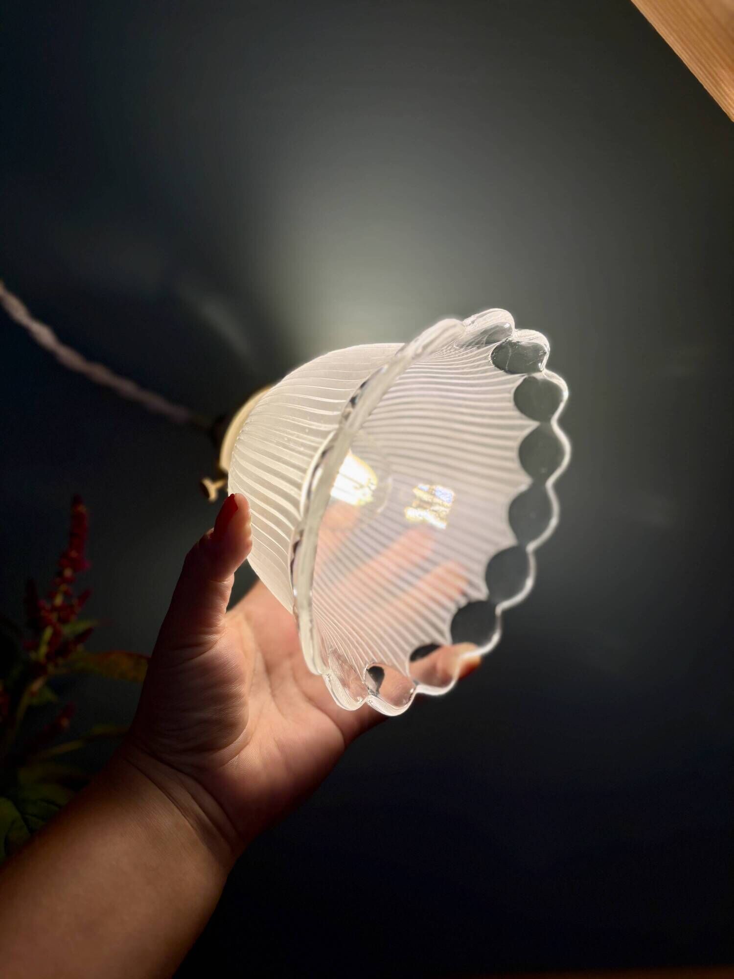 Vintage tulip suspension in frosted glass (TFB1)