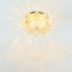 Large Amber Bubble Glass Ceiling Light By Helena Tynell For Limburg, 1960s