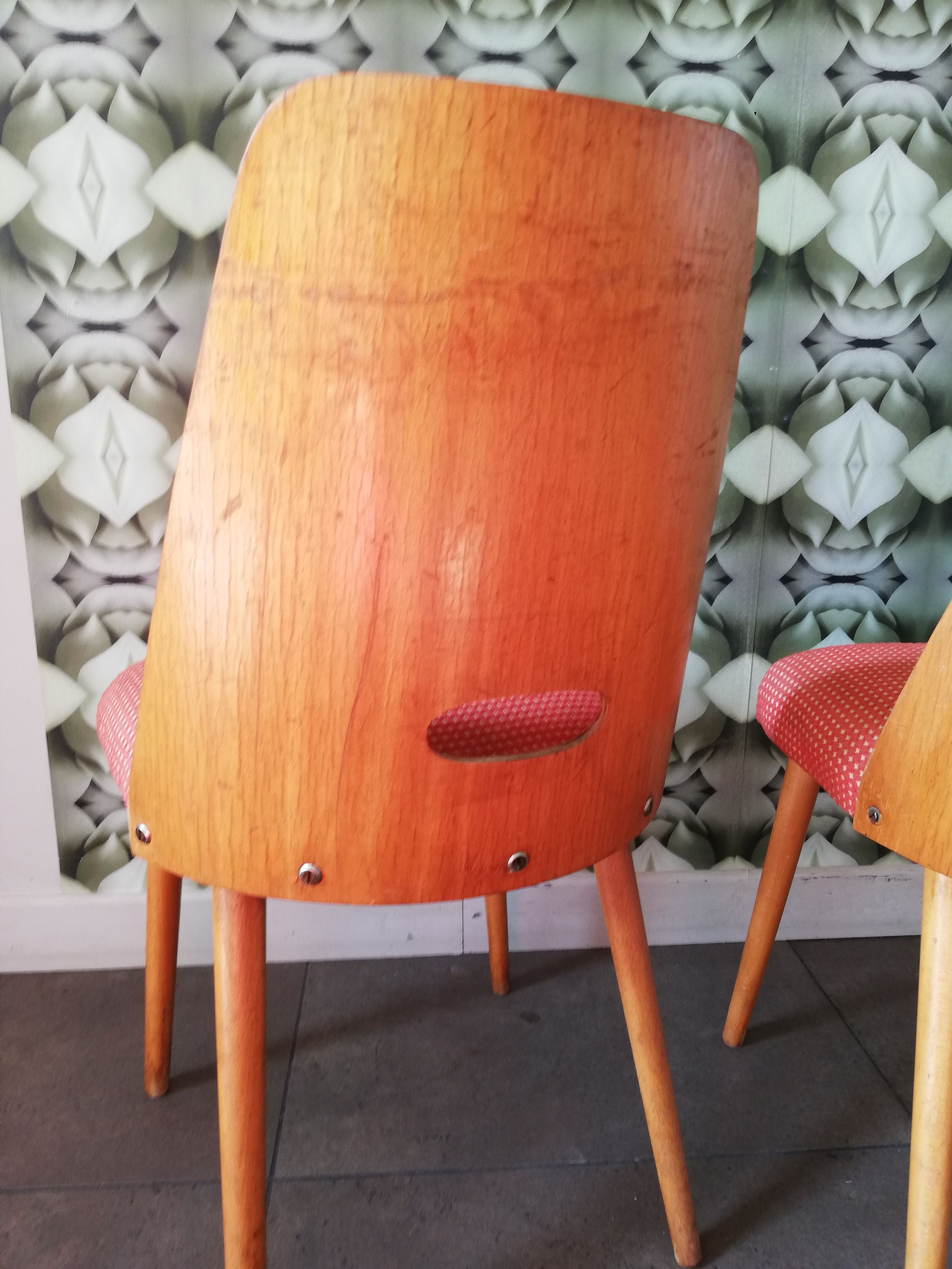 2 Vintage chairs Antonin Suman, Art Deco, Czechoslovakia 1960