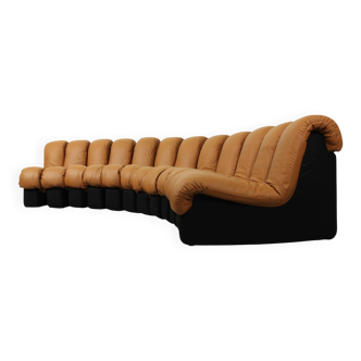DS-600 'Non Stop' sofa by Eleonore Peduzzi Riva for De Sede with 12 elements, Switzerland 1970s