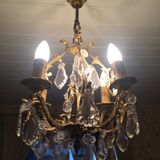 Grape variety chandelier