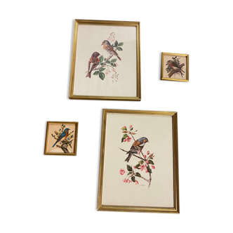 Bird paintings