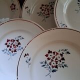 Set of 9 stencilled dinner plates