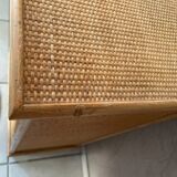 Rattan ragpicker