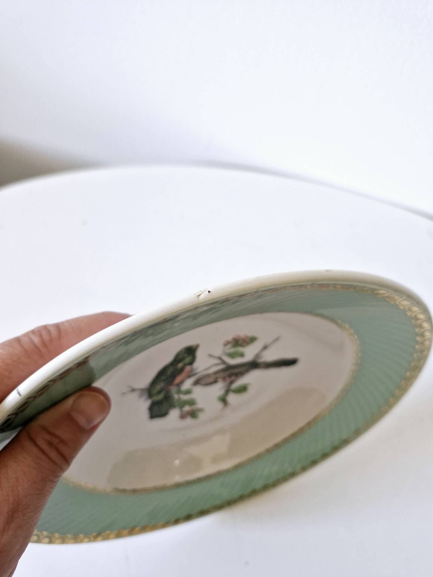 5 assiettes creuses Badonviller oiseaux liseré doré