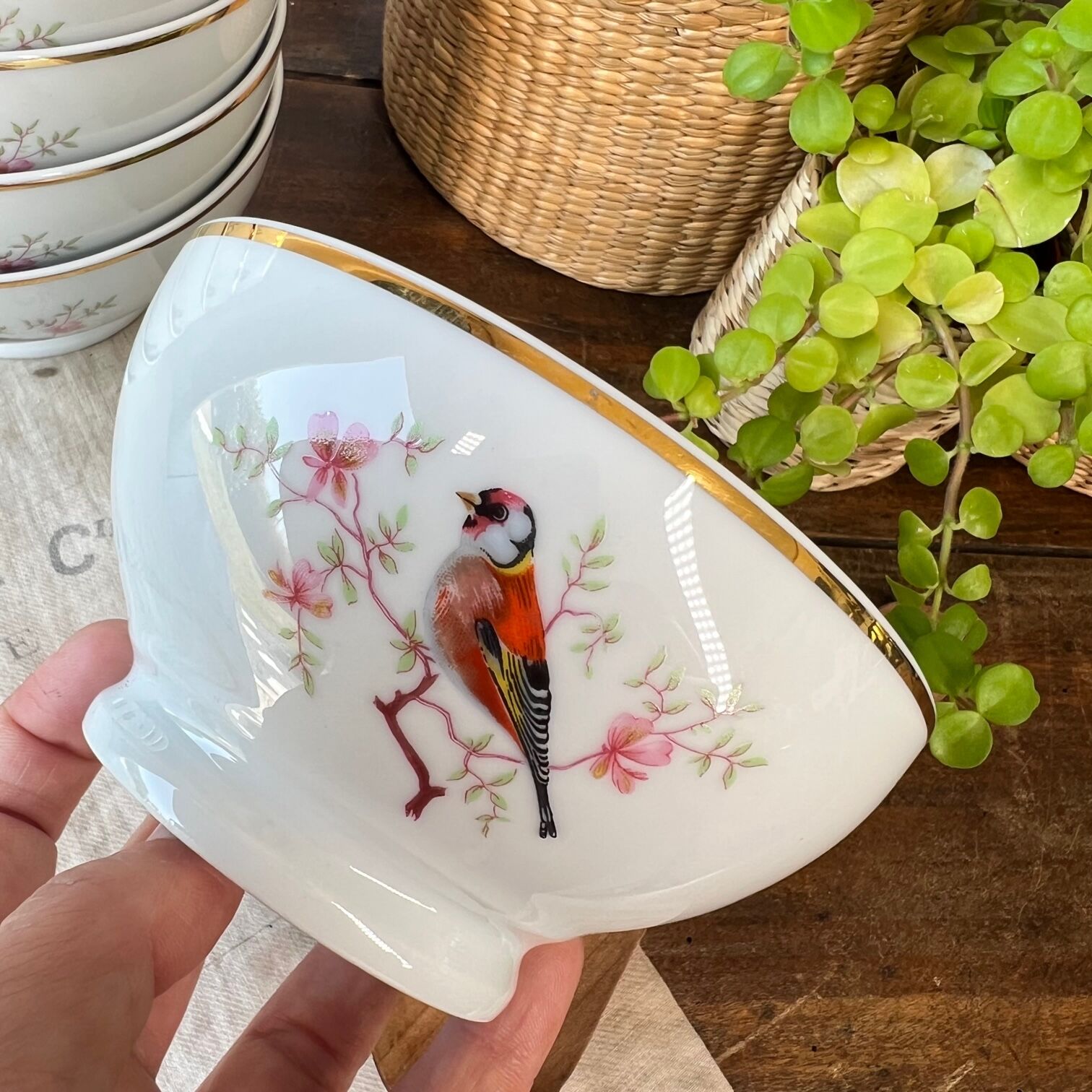 6 porcelain bowls "birds"