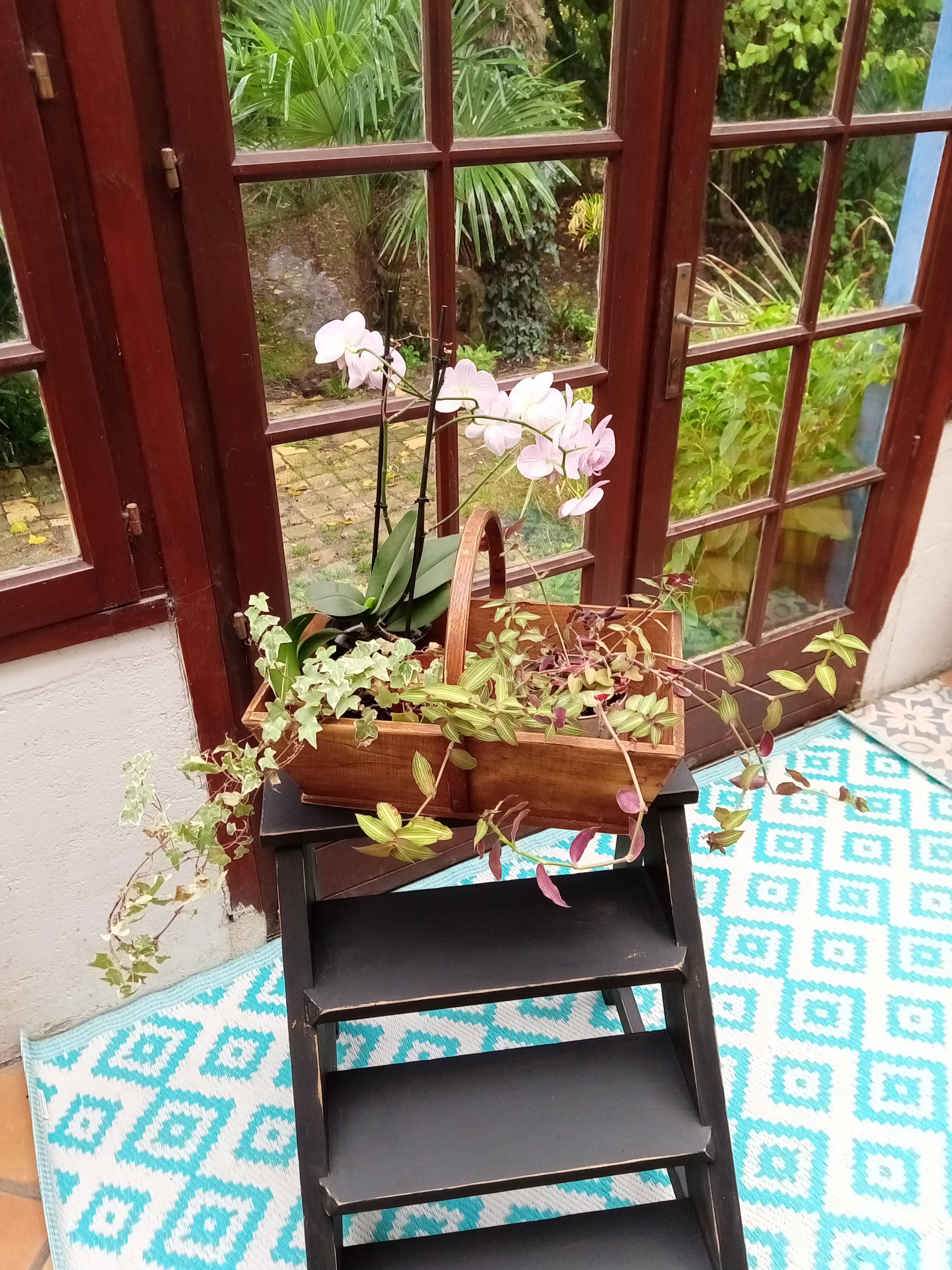 Wooden harvest basket