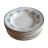 Set of 10 plates in iron earth