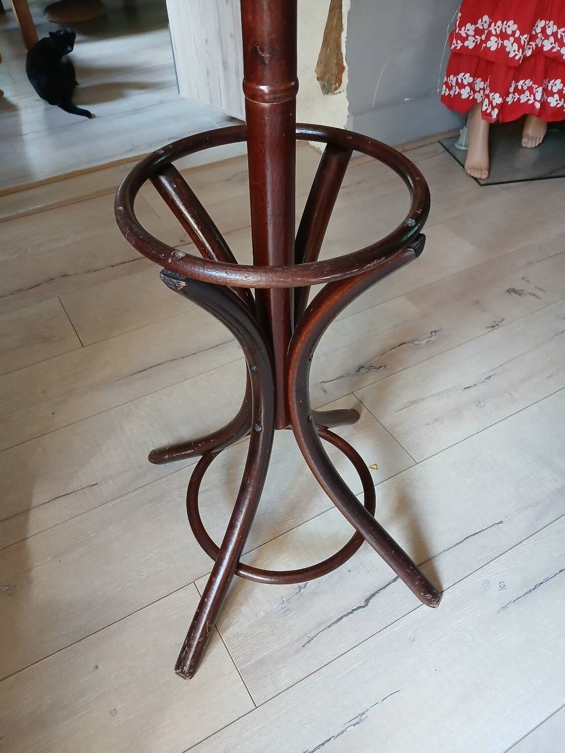 Porte manteau perroquet