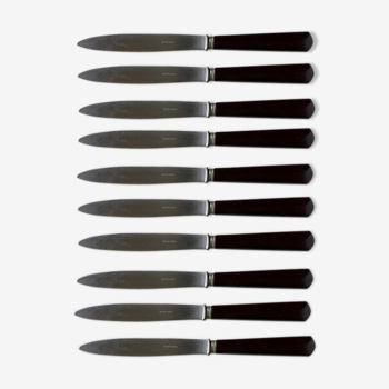 10 bakelite handle knives