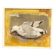 Original Swedish Oil on Canvas – “Seagull” by Ingeborg Stragnell – Signed