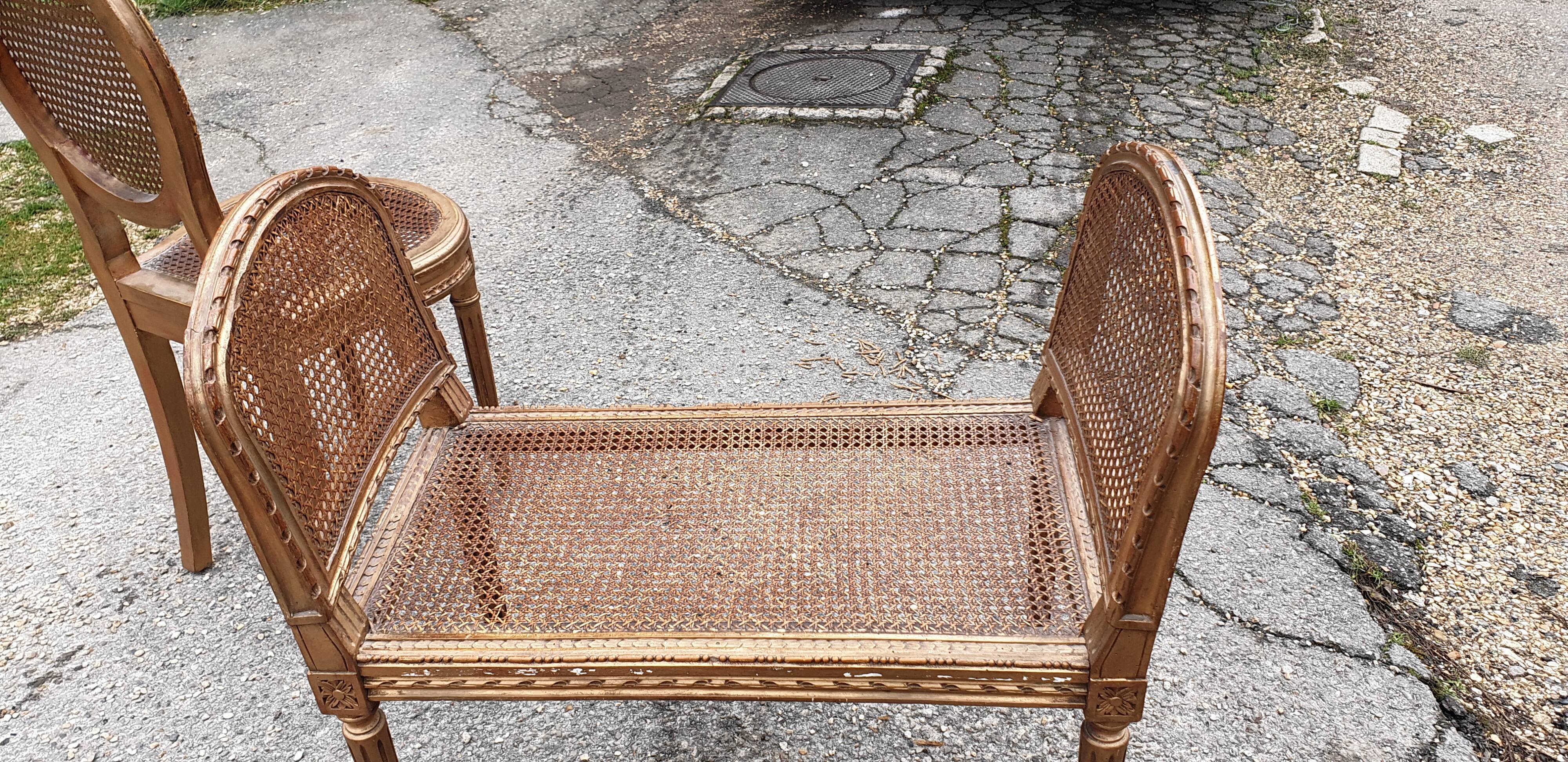 Chair and bench canned music room XIXth