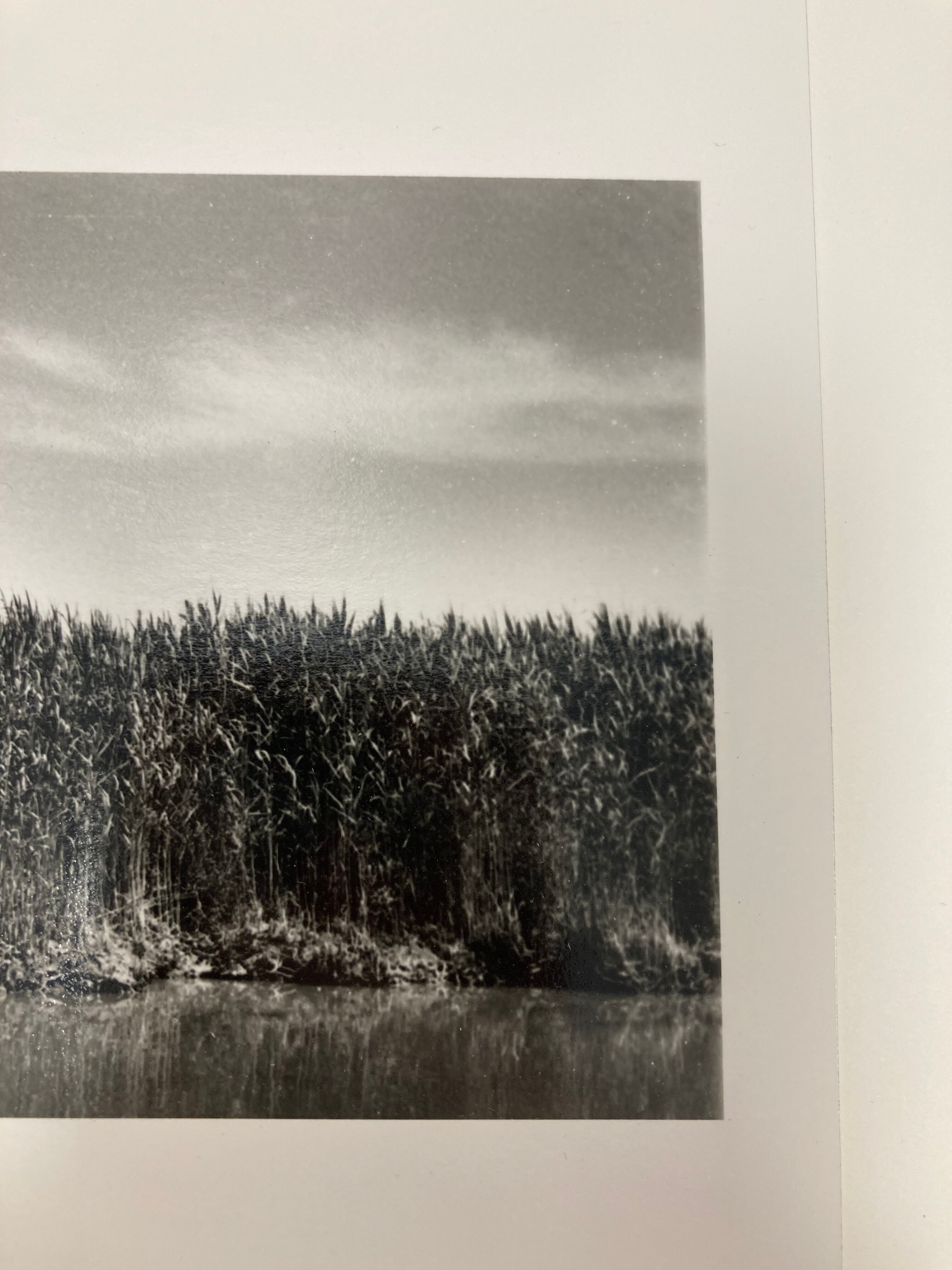 Film landscape photography
