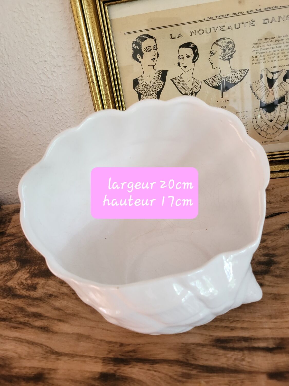 Shell pot holder