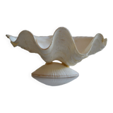 Clam shell in empty pocket