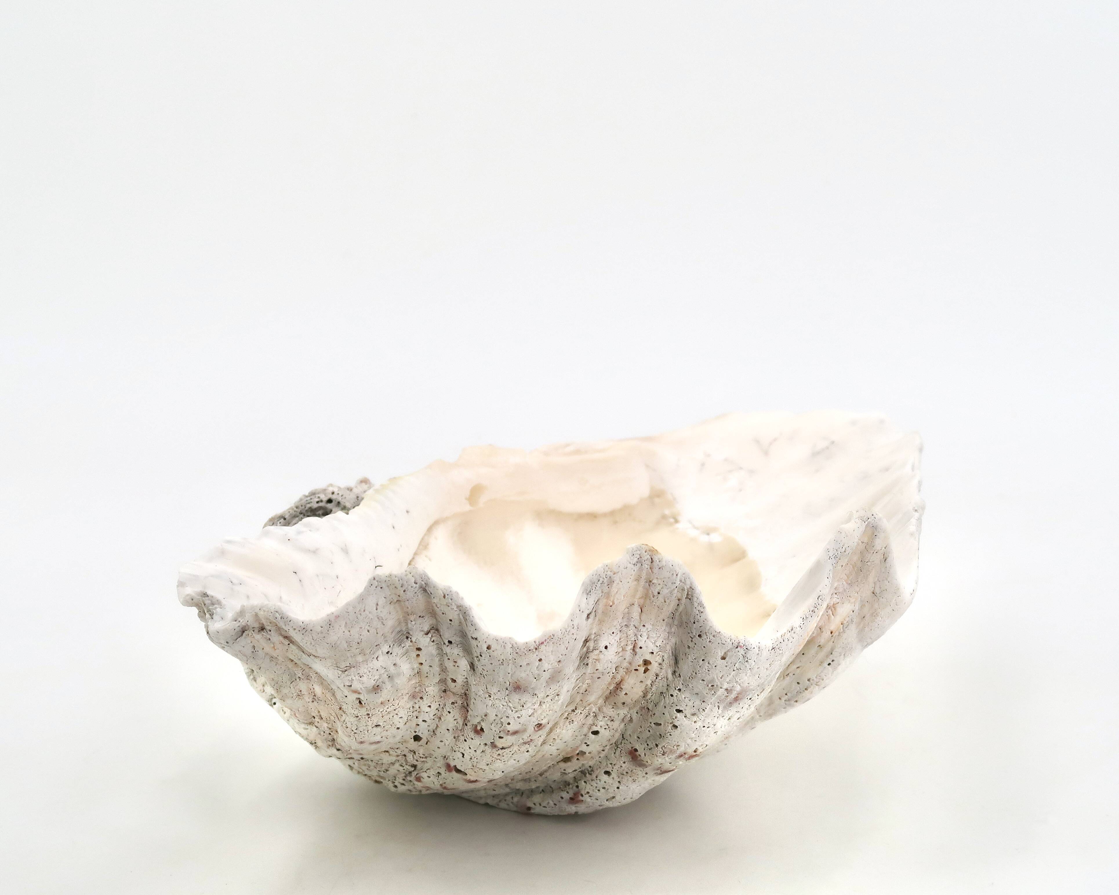 Natural white shell dish, 1970s.