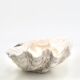 Natural white shell dish, 1970s.