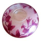 Coupe legras ruby series