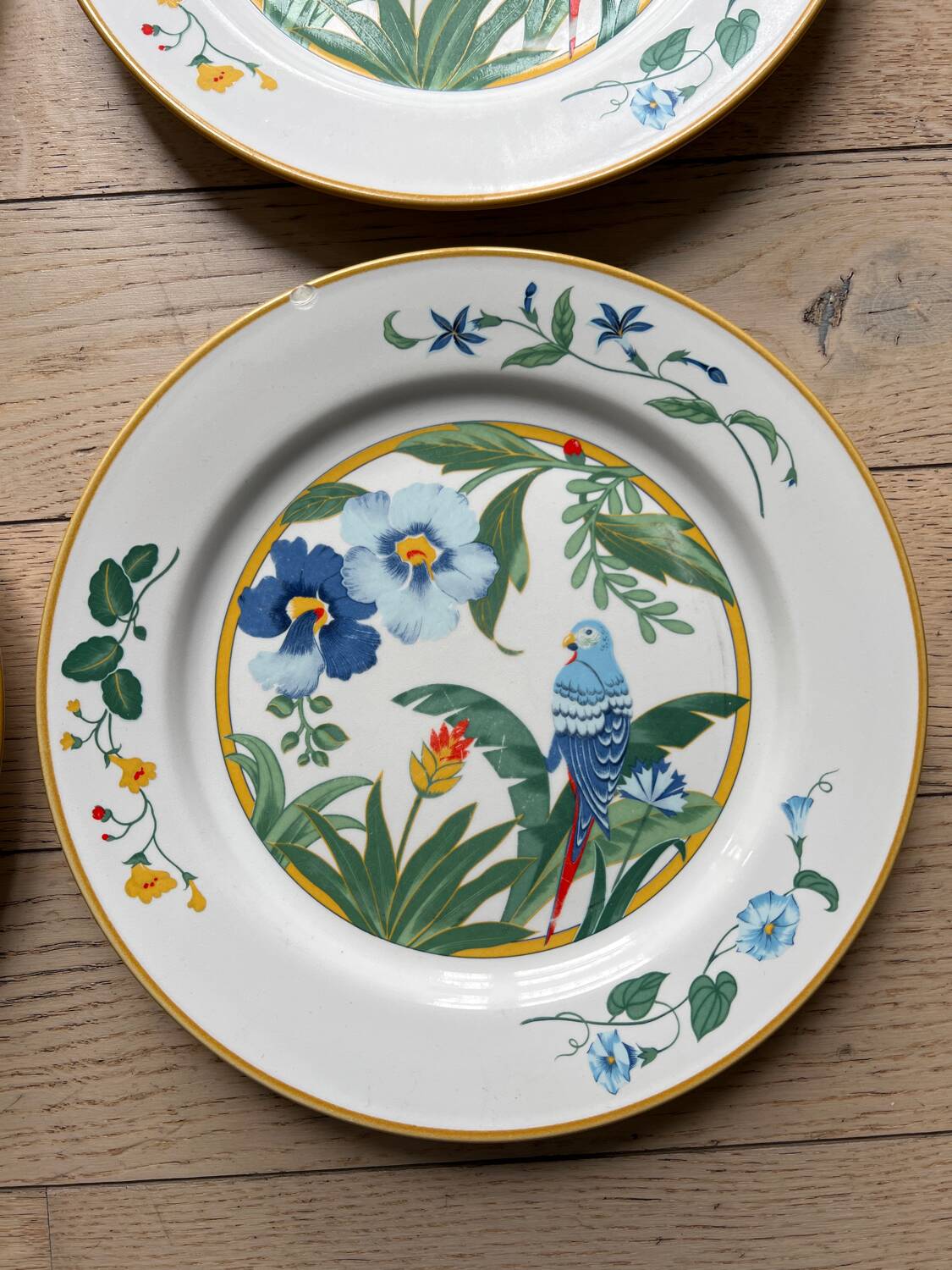 Flat plates model Ara Pier Import