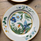 Flat plates model Ara Pier Import