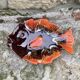 Vintage vallauris dish
