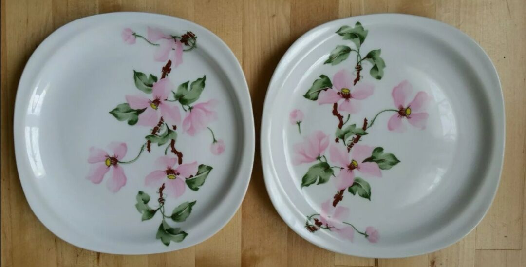 7 assiettes à dessert porcelaine fleurs roses