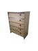 Vintage shoe cabinet / drop-leaf cabinet