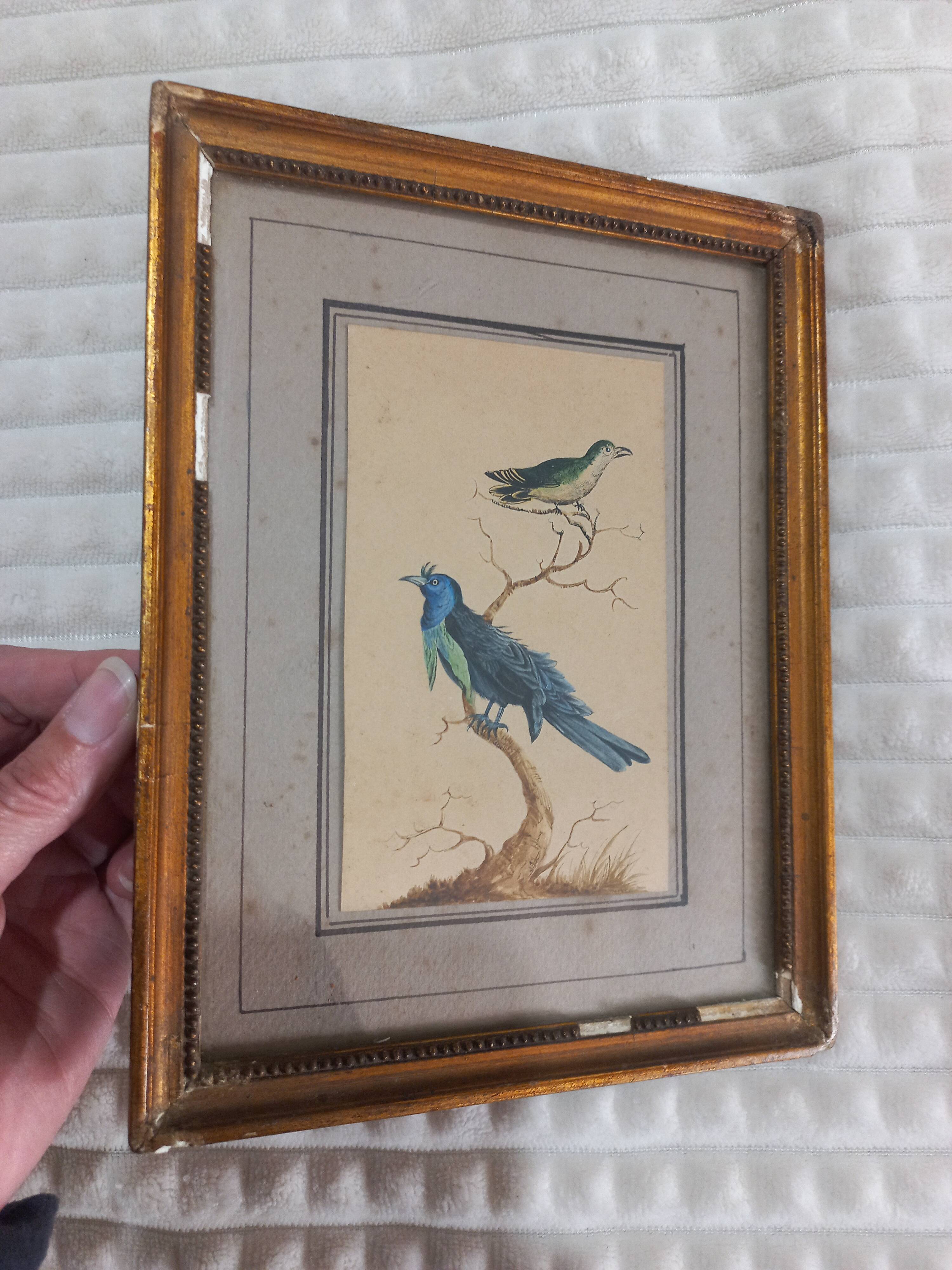 Golden table Blue birds Antique framed, Paris Gallery