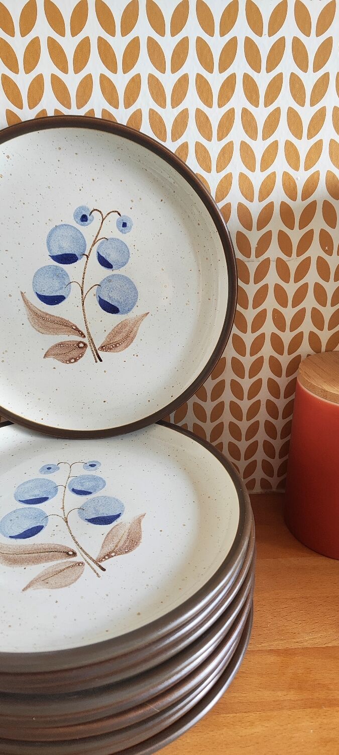 Vintage stoneware plates illustration of currants hand-painted