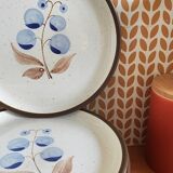 Vintage stoneware plates illustration of currants hand-painted