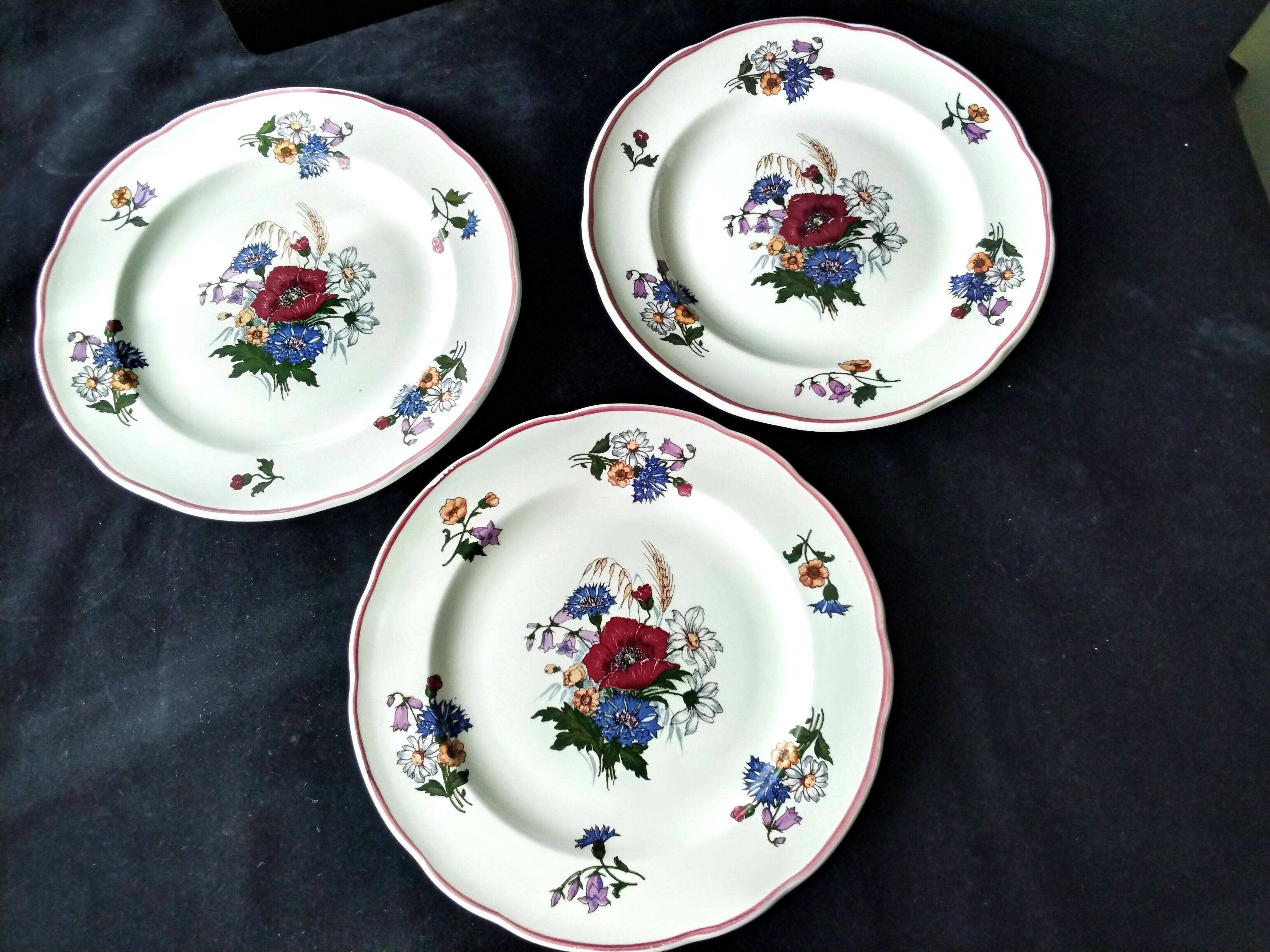 3 Pyroblan Sarreguemines porcelain dinner plates Agreste model