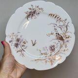 8 Superb Antique 19th Century Plates Decorated with Birds on Branches