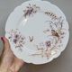 8 Superb Antique 19th Century Plates Decorated with Birds on Branches