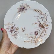 8 Superbes Assiettes Anciennes XIXème Décor Aux Oiseaux Sur Des Branches