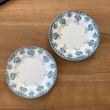 2 plates in Iron Earth