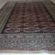 Tapis Vintage Bukhara en Laine, Années 1960, Élégance Traditionnelle