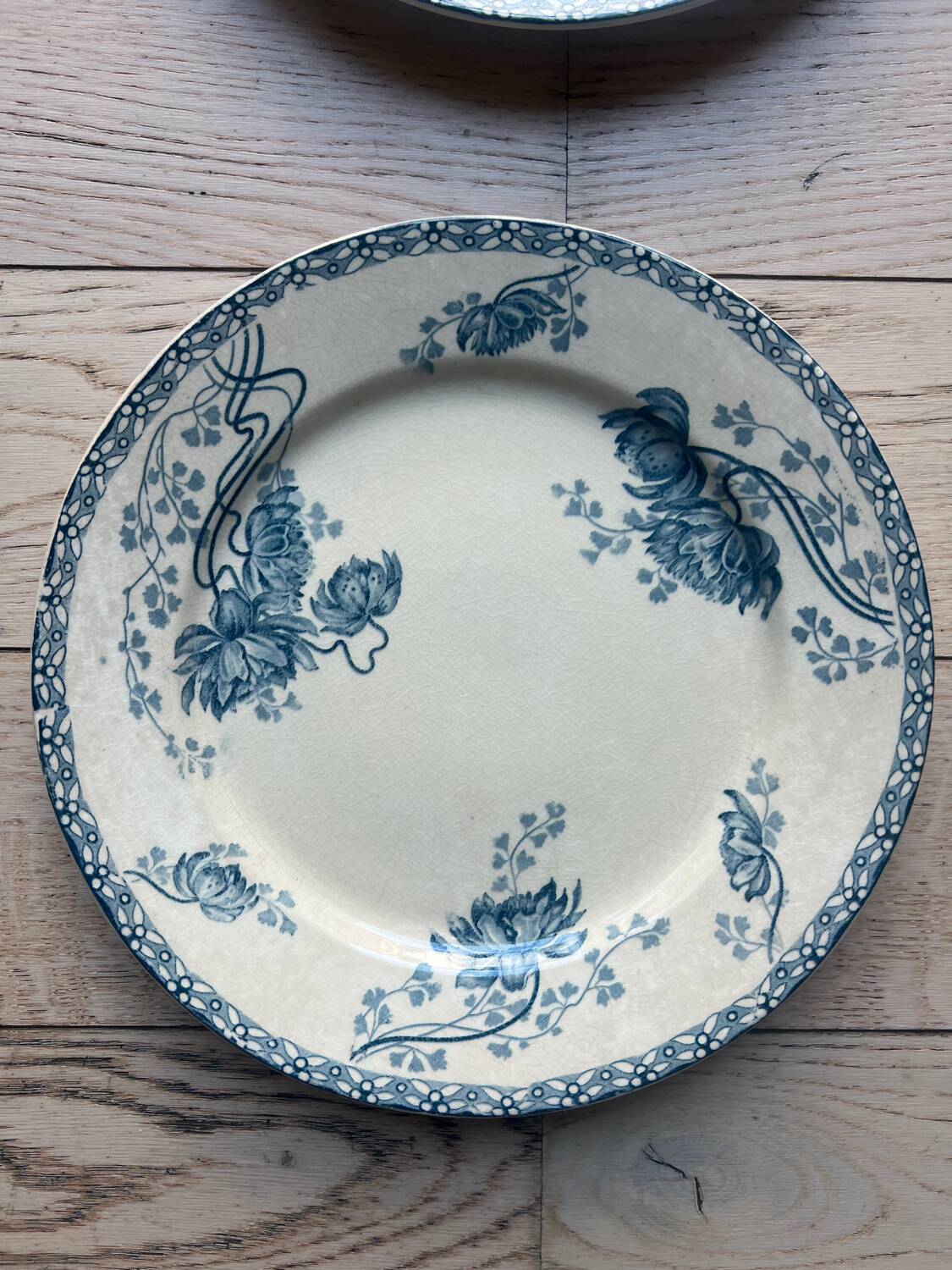 Royat Sarreguemines model flat plates
