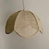 Cane suspension