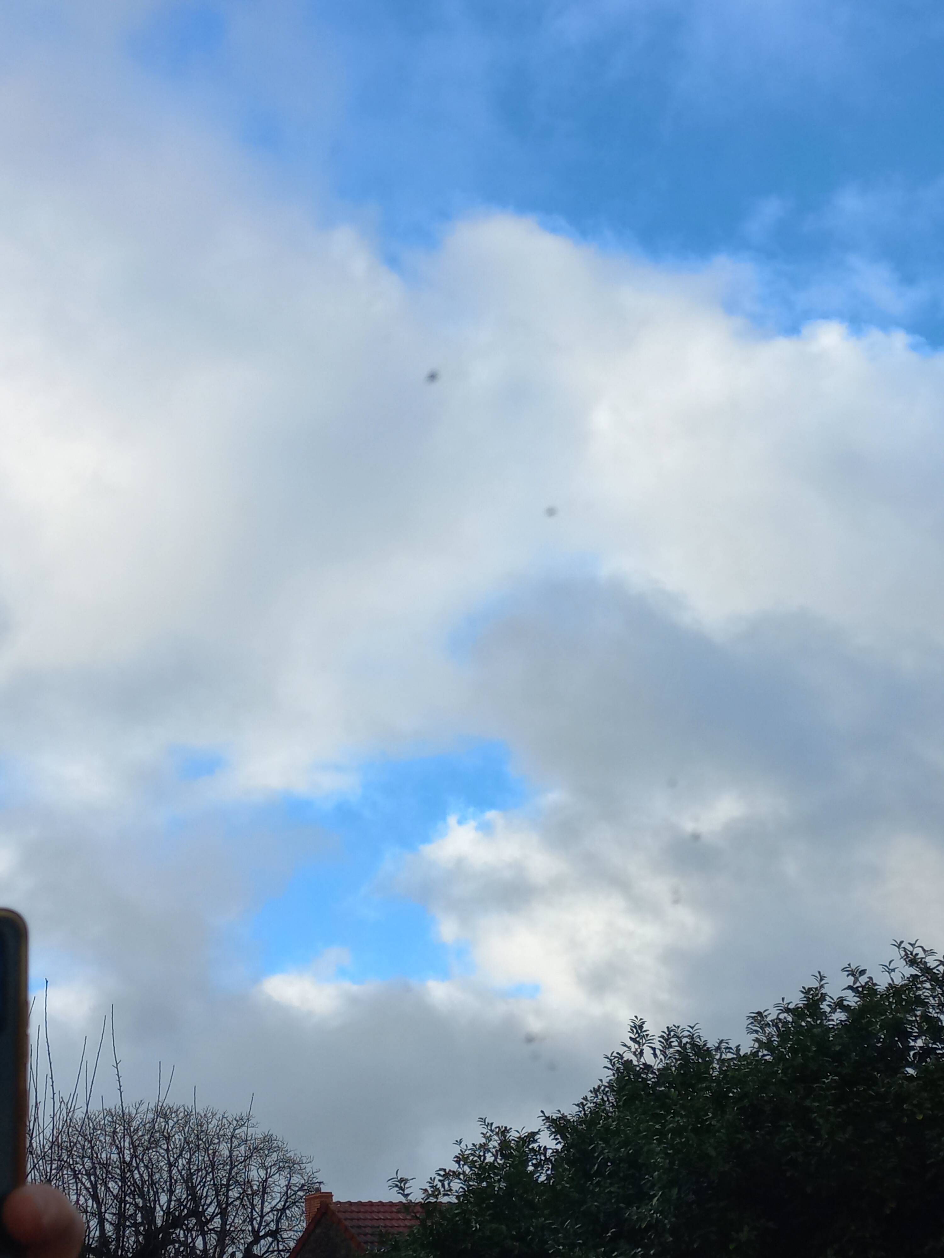Antique Louis XV style mirror in solid oak with grey patina, 131cm.