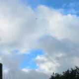 Antique Louis XV style mirror in solid oak with grey patina, 131cm.